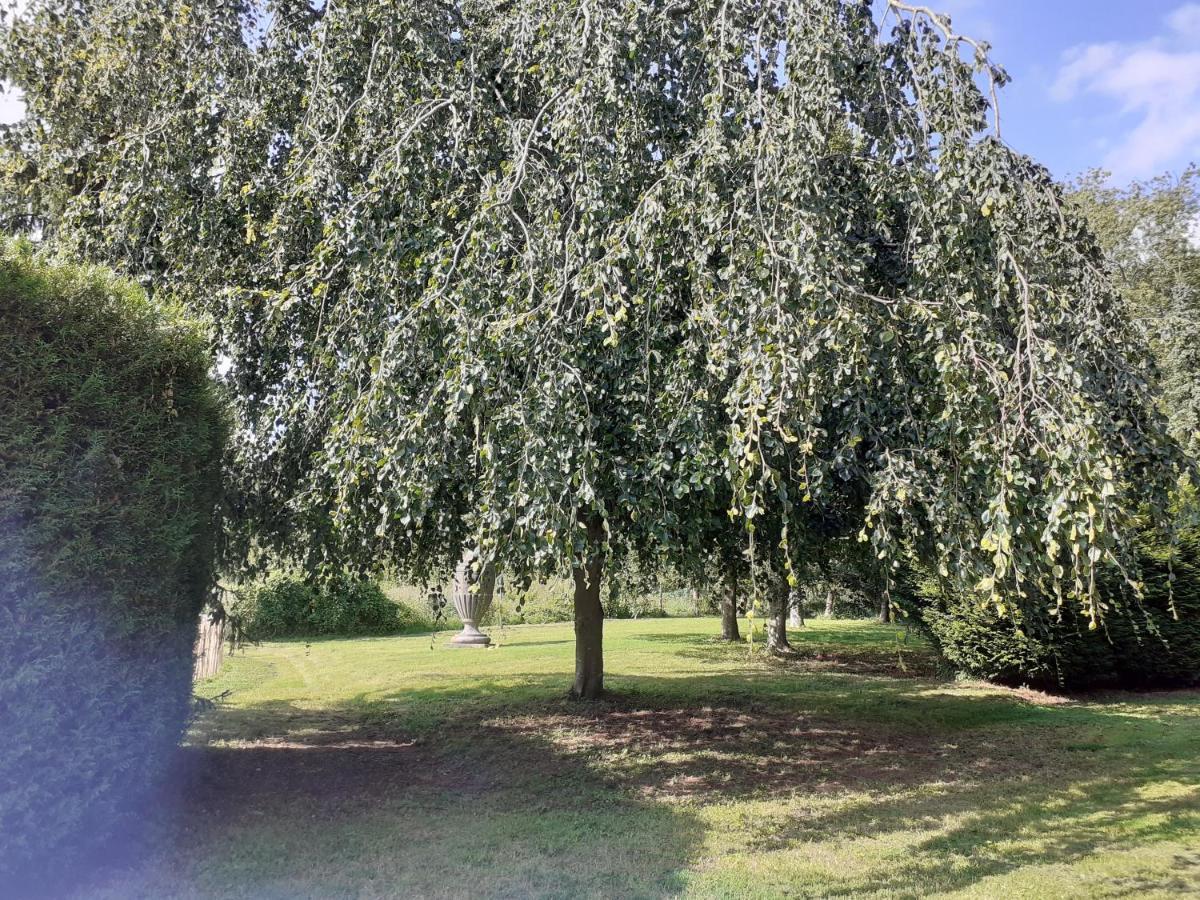 Bed and Breakfast Manoir De Camblain Экстерьер фото